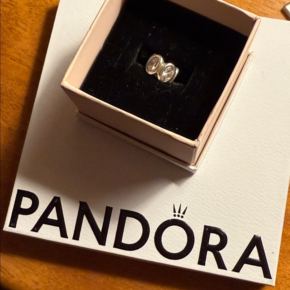 Pandora Silver Charm